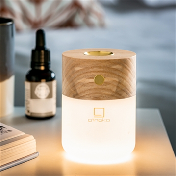  Smart Diffuser Lamp