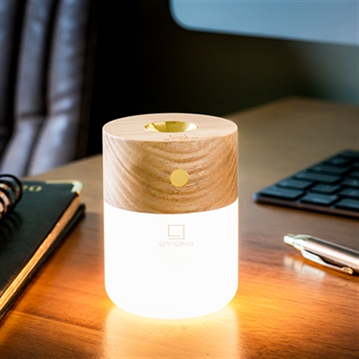  Smart Diffuser Lamp