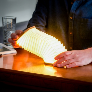  Smart Accordian Lamp