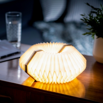  Smart Accordian Lamp