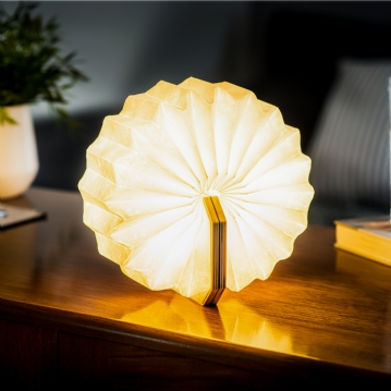  Smart Accordian Lamp