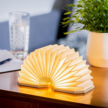  Smart Accordian Lamp