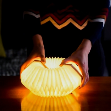  Smart Accordian Lamp
