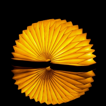  Smart Accordian Lamp