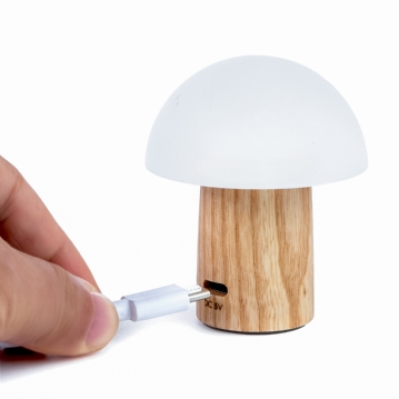 Wooden Mushroom Lamps