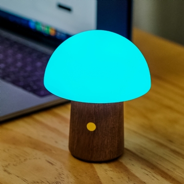 Wooden Mushroom Lamps