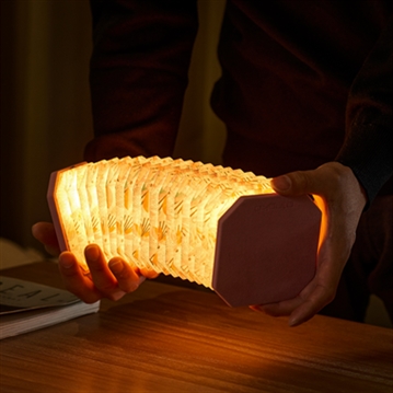 Velvet Accordian Lamps