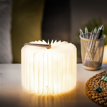 Smart Book Lights