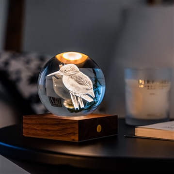 Amber Crystal Lights - Nature Collection