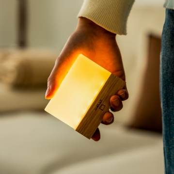 Gingko CuraCheese Night Lights