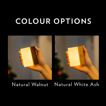 Gingko CuraCheese Night Lights