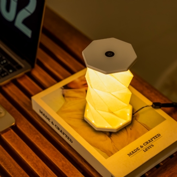 Gingko Mini Twist Hexagon Lights