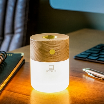 Gingko Smart Diffuser Lamps
