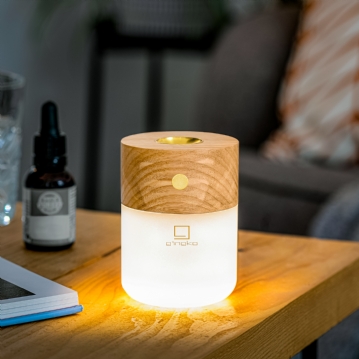 Gingko Smart Diffuser Lamps
