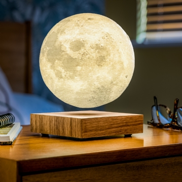 Gingko Smart Moon Lamps