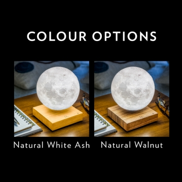 Gingko Smart Moon Lamps