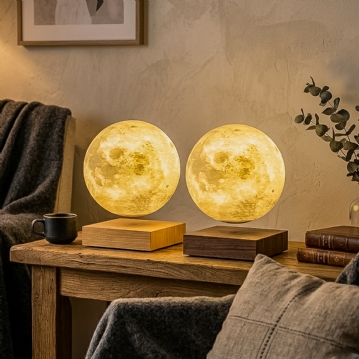 Gingko Smart Moon Lamps