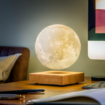 Gingko Smart Moon Lamps