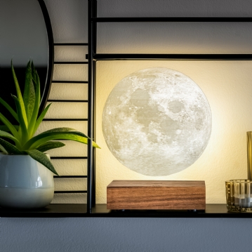 Gingko Smart Moon Lamps