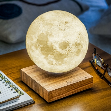 Gingko Smart Moon Lamps