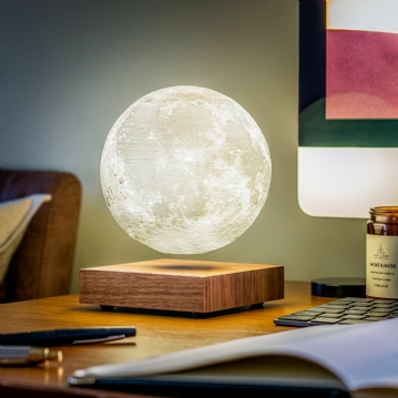 Gingko Smart Moon Lamps