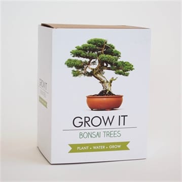Grow Your Own Bonsai Trees