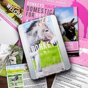 Adopt A Donkey Gift Pack