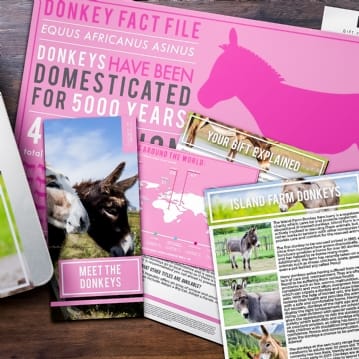 Adopt A Donkey Gift Pack