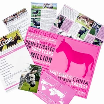 Adopt A Donkey Gift Pack | Find Me A Gift