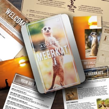 Adopt a Meerkat Gift Box