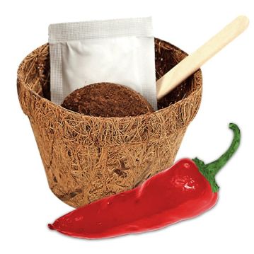 Grow Your Own Chilli Plants Kit