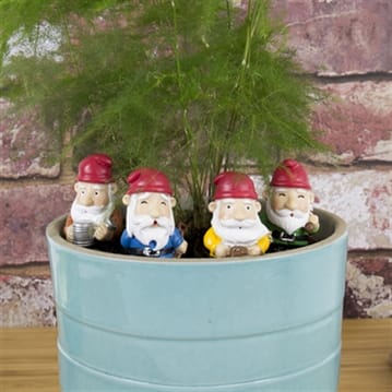 Miniature Garden Gnomes