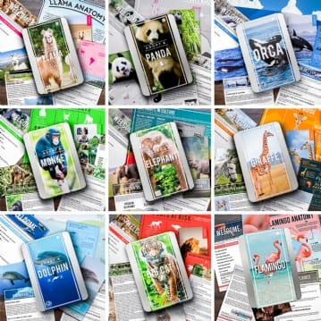 Adopt an Animal Gift Packs