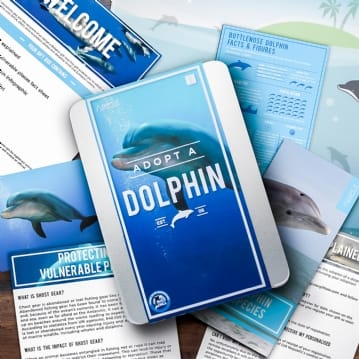 Adopt an Animal Gift Packs