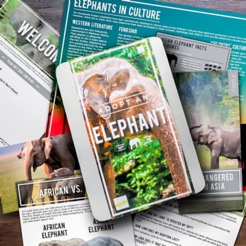 Adopt an Animal Gift Packs