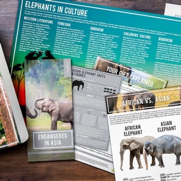 Adopt an Animal Gift Packs