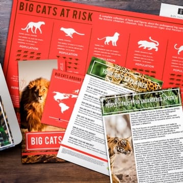 Adopt an Animal Gift Packs