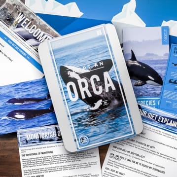 Adopt an Animal Gift Packs