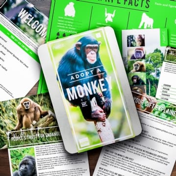 Adopt an Animal Gift Packs