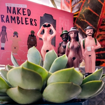 Mini Plant Pot Naked Ramblers
