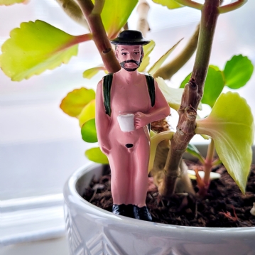 Mini Plant Pot Naked Ramblers