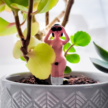 Mini Plant Pot Naked Ramblers