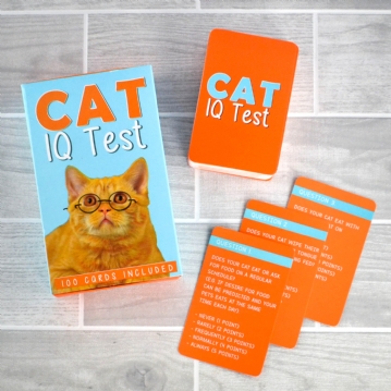 Cat IQ Test