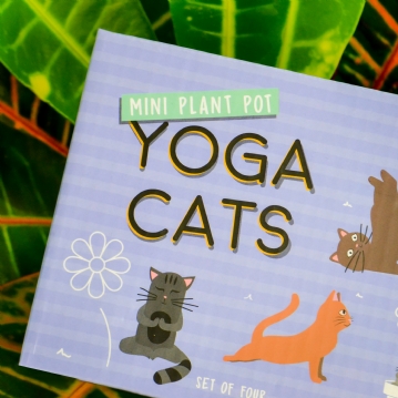 Mini Plant Pot Yoga Cats