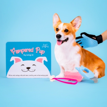 Pampered Pup - Dog Massage Kit