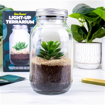 Solar Powered Light Up Terrarium