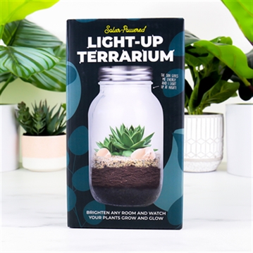 Solar Powered Light Up Terrarium