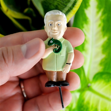 Attenborough Explorer Plant Markers