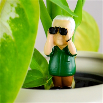 Attenborough Explorer Plant Markers