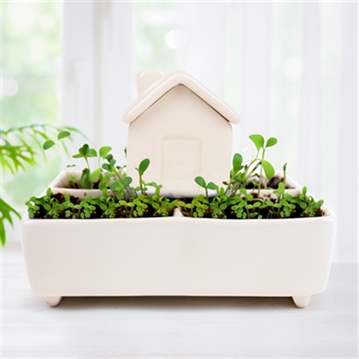 Self Watering Plant House